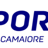 logo dds sporting camaiore